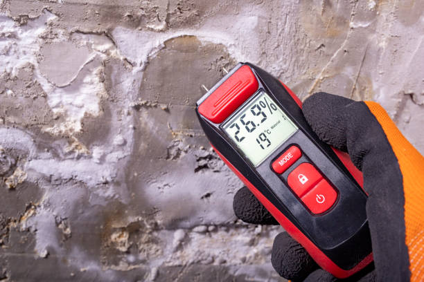 Best Toxic Mold Removal  in Duncan, OK