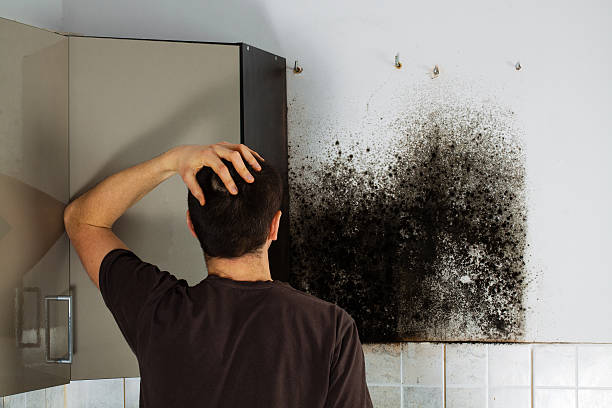 Best Certified Mold Removal  in Duncan, OK